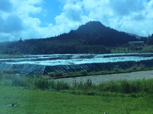 福島調査2日目。南相馬市などを視察。市長や住民の方と懇談しました。