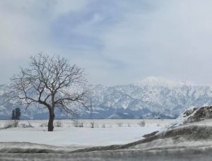 新潟県十日町市・津南町へ