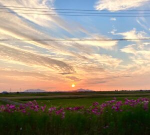 新潟市秋葉区の夕陽
